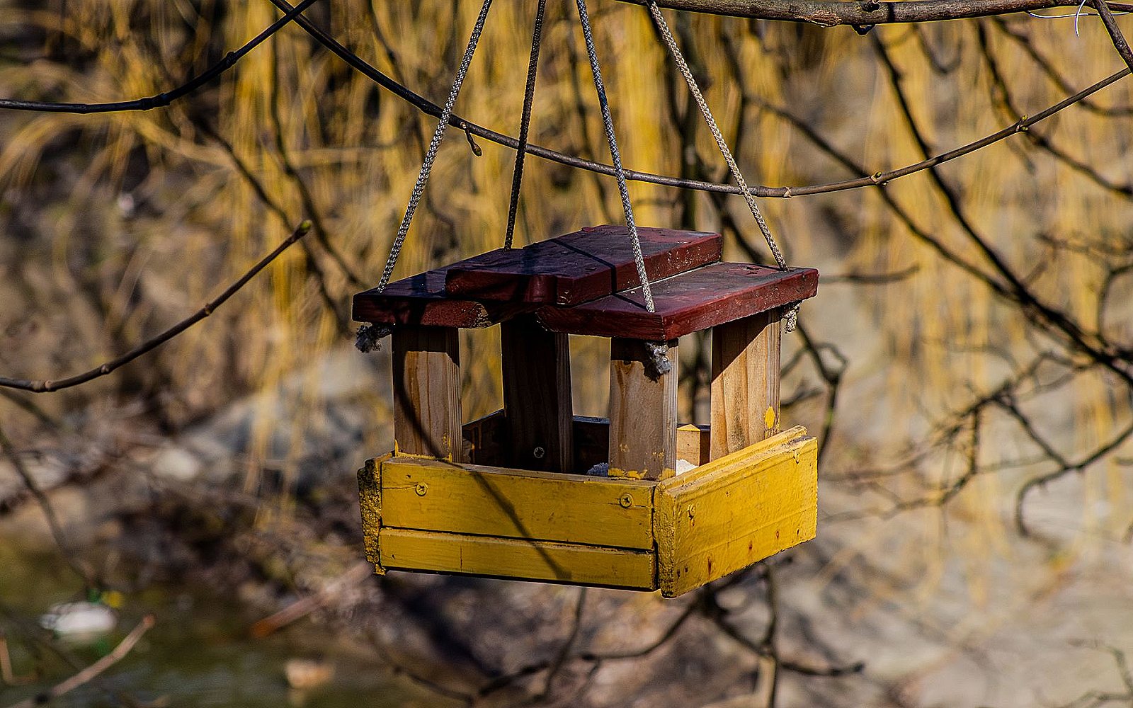 Comedero y bebedero de aves en el jardín